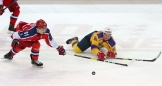 FSB12412.jpg