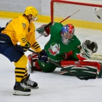 02.02.2016. Барс - Дизель