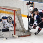 06.02.2018 ХК Саров - ЦСК ВВС - 8:1