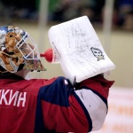 Ижсталь - Ариада