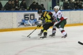IMG_3932.jpg