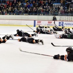 28.02.2018 Молот-Прикамье - Динамо - 3:2