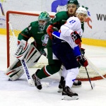 Барс - Ариада