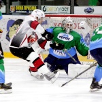 Торос - Рубин