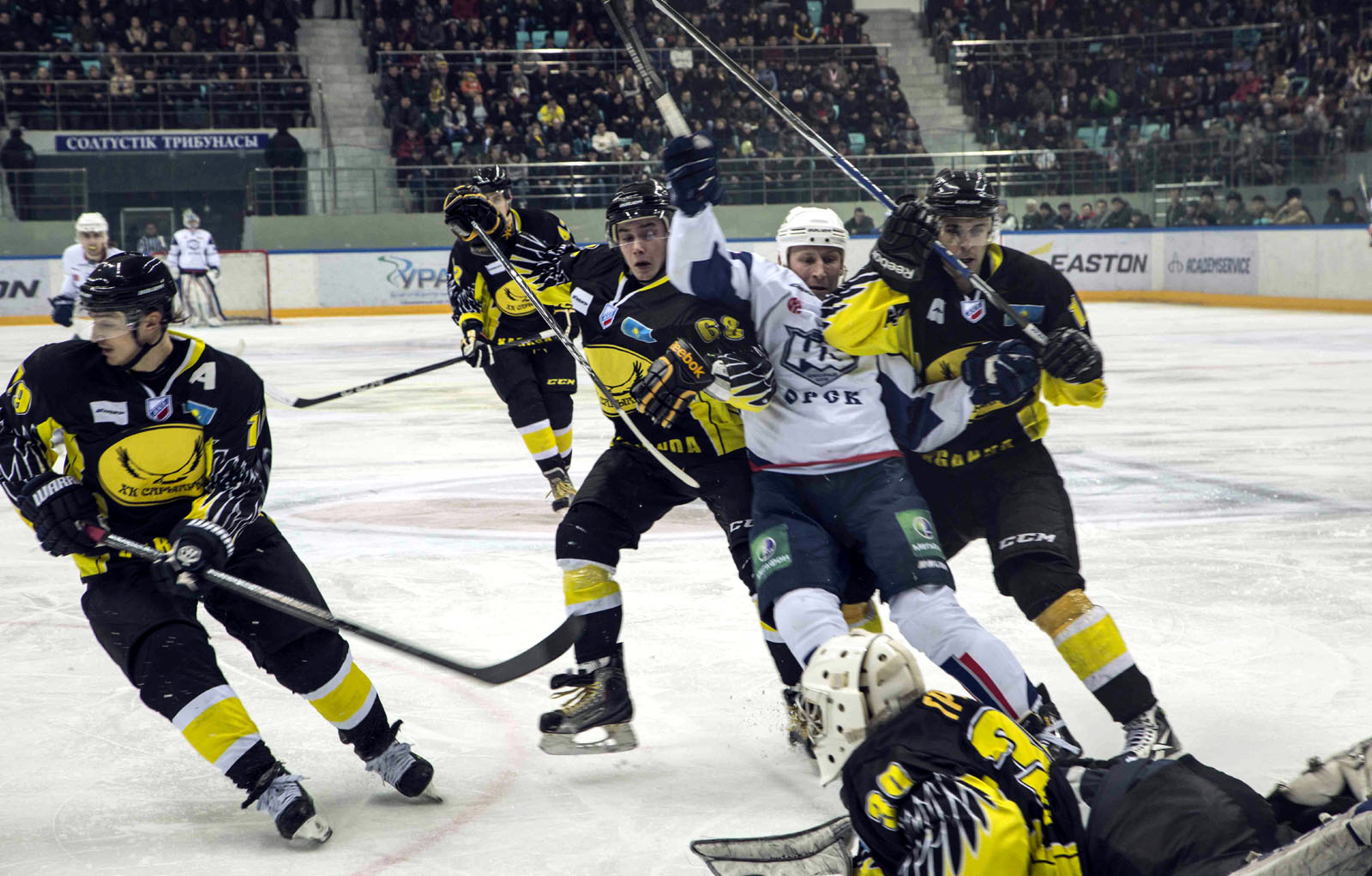 Сарыарка (хоккейный клуб). Хк сарыарка эмблема. Хк сарыарка игрок роберт. Хк кулагер петропавловск болельщики. Сарыарка.