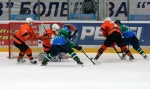 toros-molot-024.jpg