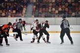 DSC_5146.jpg