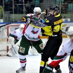 Сарыарка - Барс