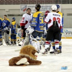 Дизель - Челмет