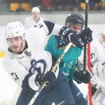 273 07.11.2017 Торпедо - Динамо - 1:2