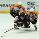 29.11.2016. Челмет - Спутник