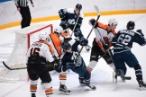 Dinamo-Sputnik_25-10-2016_030.jpg