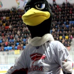 Сокол - Дизель