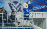IMG_6263.jpg