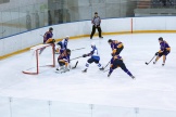 IMG_8373.jpg