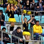 Сарыарка - Сокол