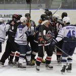 07.12.2015. Челмет - Динамо