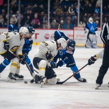 Динамо-Алтай - Дизель