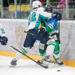 29.01.2016. Торос - Торпедо