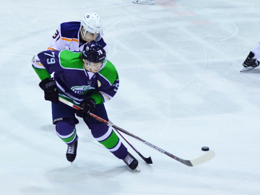 горняк ижсталь вхл.