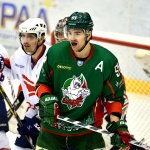 Барс - Сокол