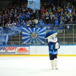 12.10.2015. ХК Рязань - Нефтяник