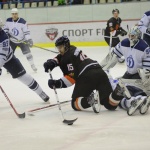 11.01.2016. Молот-Прикамье - Динамо