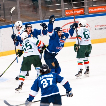 Сокол - Барс