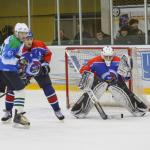 Спутник - Торос