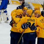 01.12.2015. СКА-Нева - Дизель