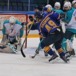 22.01.2017. Химик - Торпедо