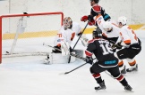 OGN_ВХЛ03122016_001.JPG