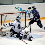 Динамо Бшх - ХК Рязань