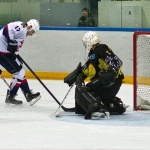 Сарыарка - Сокол