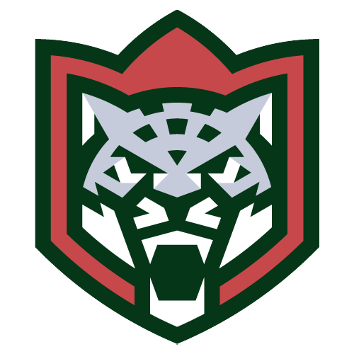 Логотип Барс