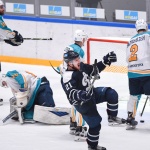 26.01.2017. Динамо СПб - Торпедо