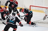 OGN_ВХЛ01122016_013.jpg
