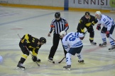 800_9787.jpg