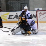 Дизель - Буран