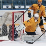 29.11.2015. Динамо - Дизель