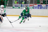 _MG_7548.jpg