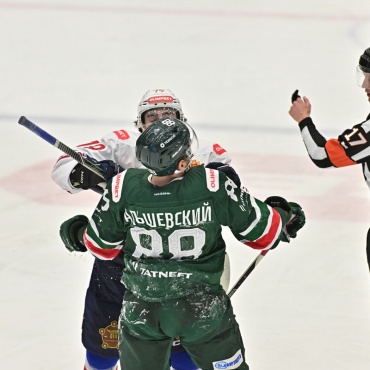 Барс - Сокол