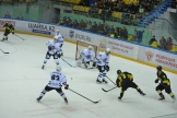 800_9263.jpg