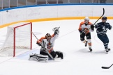 Dinamo-Sputnik_25-10-2016_035.jpg