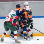 12.12.2016. СКА-Нева - Барс