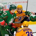 15.01.2017. Барс - Дизель