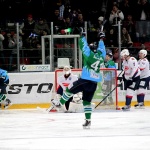 Торос - Сокол