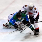 Торос - Сокол