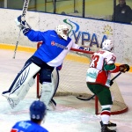 Ариада - Барс