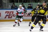 IMG_3831.jpg